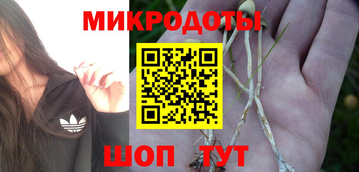 Галлюциногенные грибы Magic Shrooms Ревда