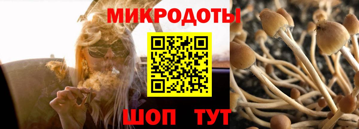 Псилоцибиновые грибы MAGIC MUSHROOMS  Вход с VPN  Ревда 