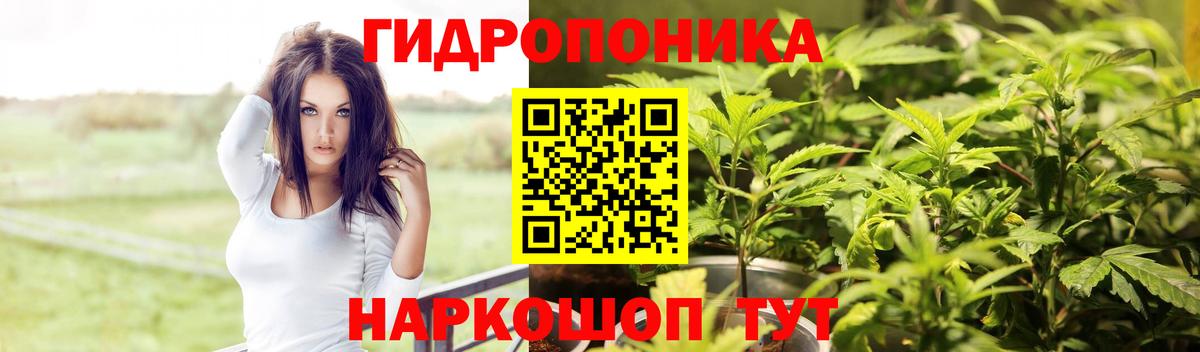 Бошки марихуана THC 21%  Вход с VPN  Бошки марихуана планчик  Ревда 